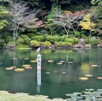 Beppu Hot Springs Hells Tour