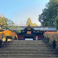 小石川大神宮🪷靜謐之境