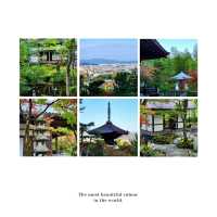泉岳寺🪻靜謐的禪意