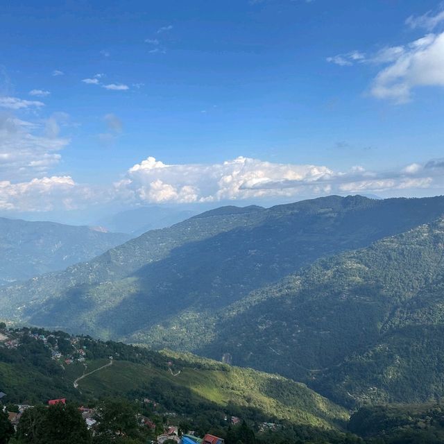 🇮🇳 印度-大吉嶺 Darjeeling Happy Valley