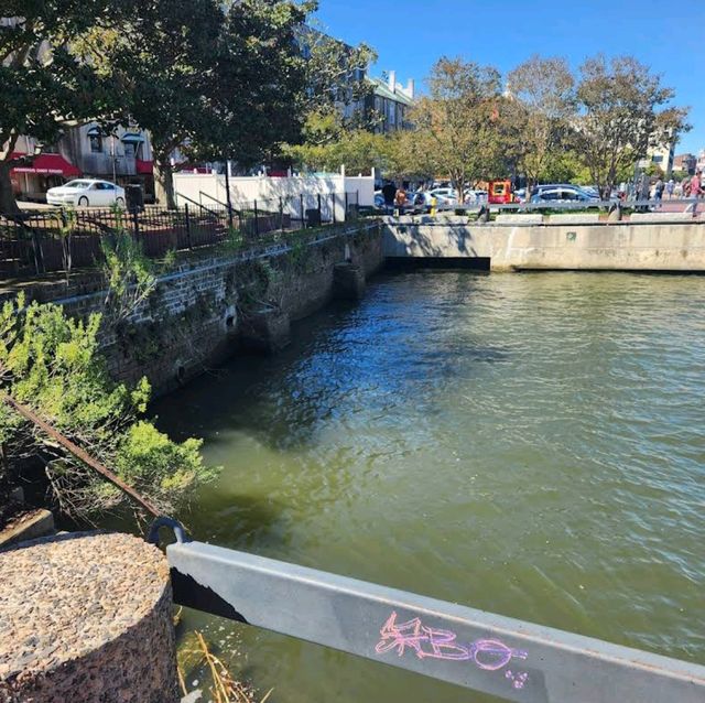Savannah, Georgia: