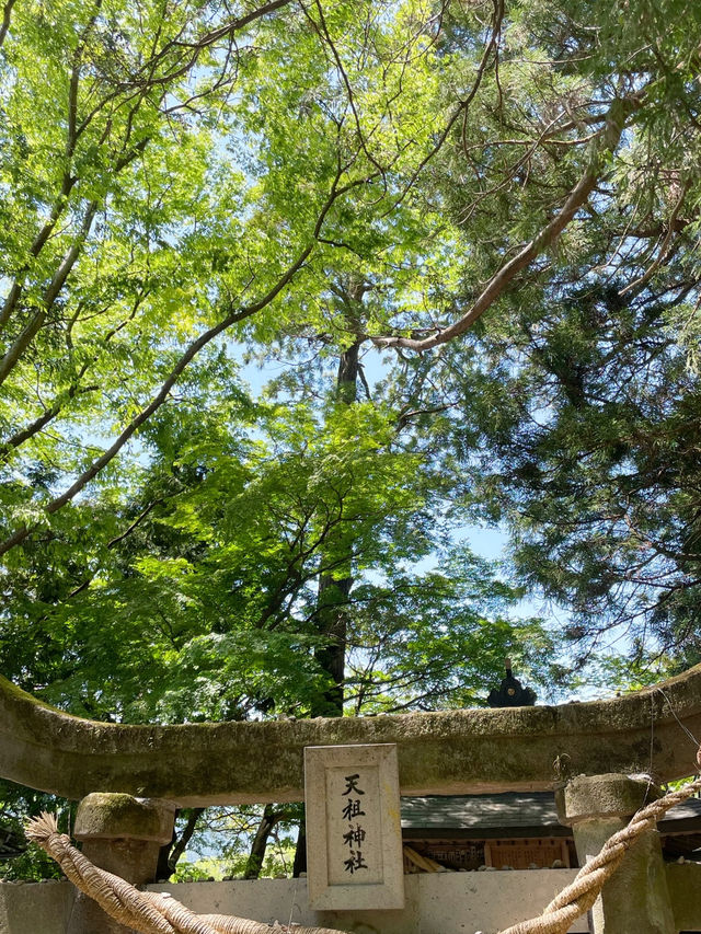🇯🇵유후인 여행 필수명소 고즈넉한 긴린호수 산책하기🍀🍀