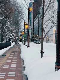 Odori Park: The Heart of Sapporo