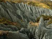 Flaring Rock Forest [Moshi Park in Autumn]