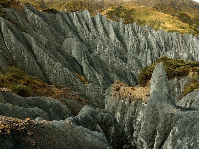 Flaring Rock Forest [Moshi Park in Autumn]