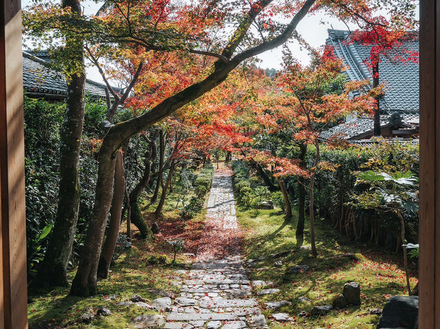 Ryoanji Temple