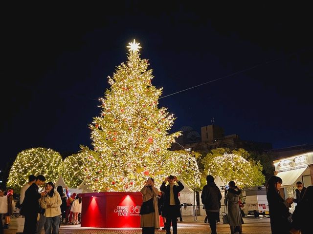 A Christmas illumination at Yebisu Garden