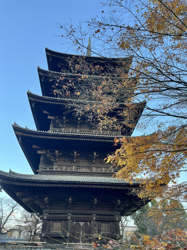 🏯 京都・東寺（To-ji）の魅力を紹介！