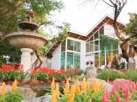 คาเฟ่สวนดอกไม้ Cakery 