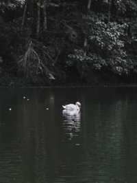 🌿 ทะเลสาบกลางหุบเขา ‘ปางอุ๋ง’ แม่ฮ่องสอน