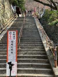 日本和歌山 青山環繞下的古老紅廟紀三井寺⛩️