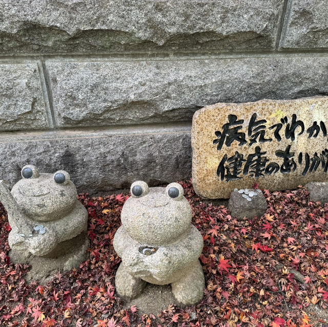 如意輪寺(青蛙寺)比太宰府更值得去的景點