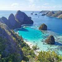 A Paradise Found: My Unforgettable Journey to Raja Ampat!