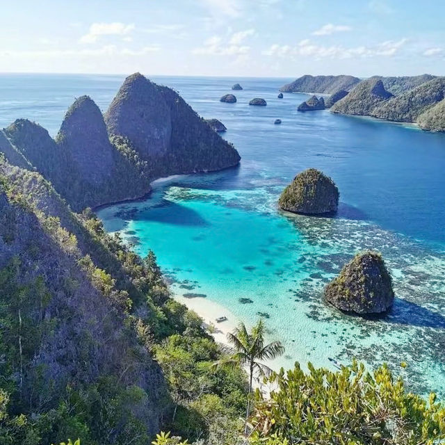A Paradise Found: My Unforgettable Journey to Raja Ampat!