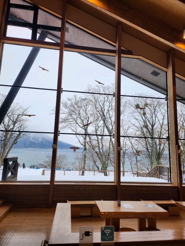 호수뷰 맛집으로 유명한 시코츠관광안내소💙🏞