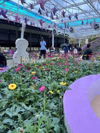 Agro Market: A Fresh Taste of Cameron Highlands