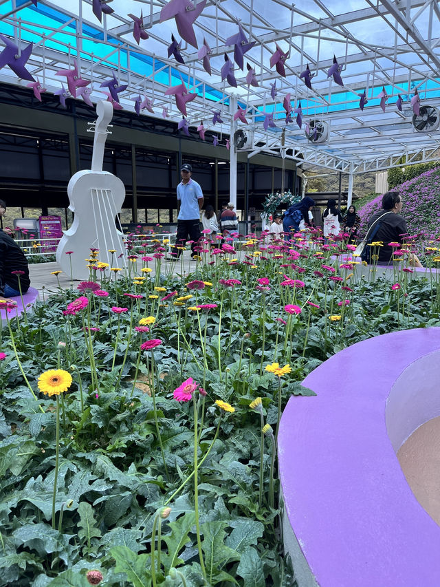 Agro Market: A Fresh Taste of Cameron Highlands