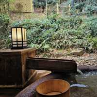 A Tranquil Escape: My Onsen Experience at Arima Onsen Taketoritei Maruyama