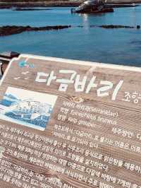 Memorable Coastal Experience