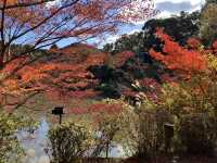 御船山樂園