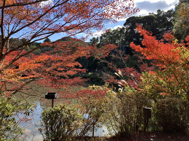 御船山樂園
