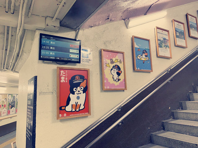 驚喜與感動交織的和歌山小玉電車之旅 🚂❤️