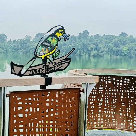 Wildlife Wonders at The Mandai Boardwalk!