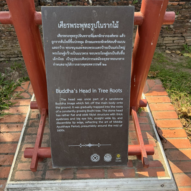 วัดมหาธาตุ จ.พระนครศรีอยุธยา