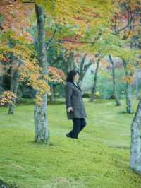 《箱根》箱根美術館で庭園散策