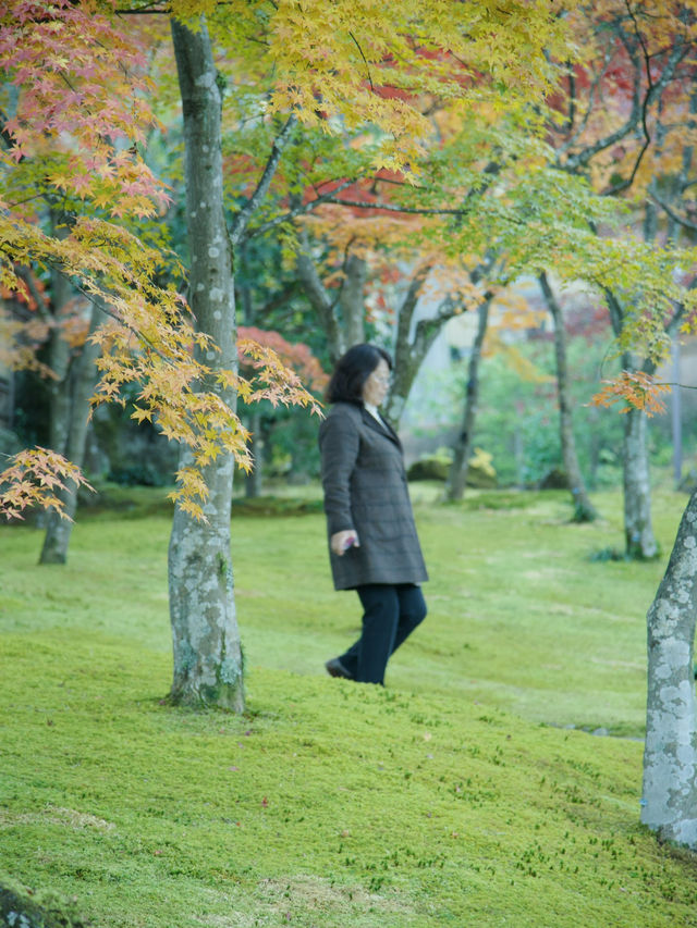 《箱根》箱根美術館で庭園散策
