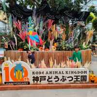 kobe animal kingdom สวนสัตว์ในร่ม แต่สัตว์เยอะมาก