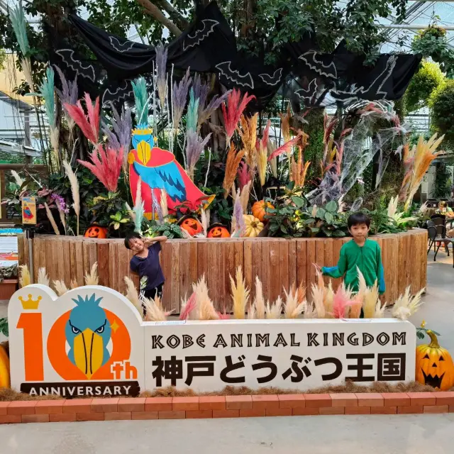 kobe animal kingdom 是一個室內動物園，但動物非常多。