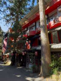 Xitou Monster Village: A Whimsical Escape into a Monster-Themed Wonderland
