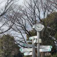 Relaxing time at Ueno Park, Tokyo
