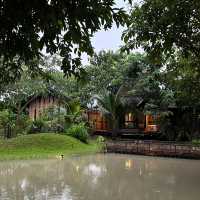 Breathe Rice Valley สันทราย เชียงใหม่ 