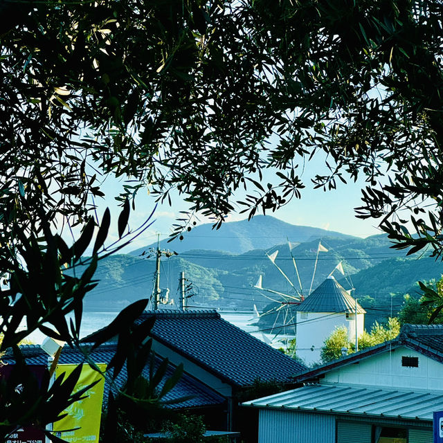 【小豆島】幸せのオリーブの葉をみつける🫒