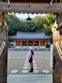 서원이 카페로 변신한 고즈넉한 힐링여행지🧡