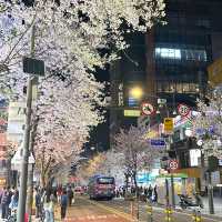 4 days 3 nights in Seoul 