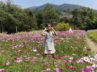 พามาฟิน คาเฟ่เปิดใหม่ Margaret Private Villa&Cafe