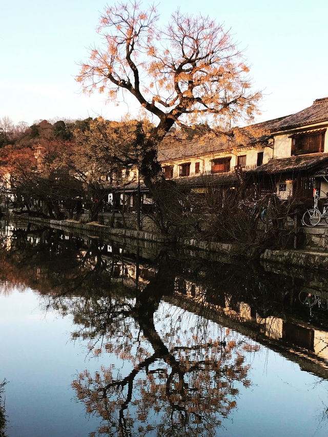 岡山｜晴天之國的運河遊船 到倉敷美觀感受老街風情