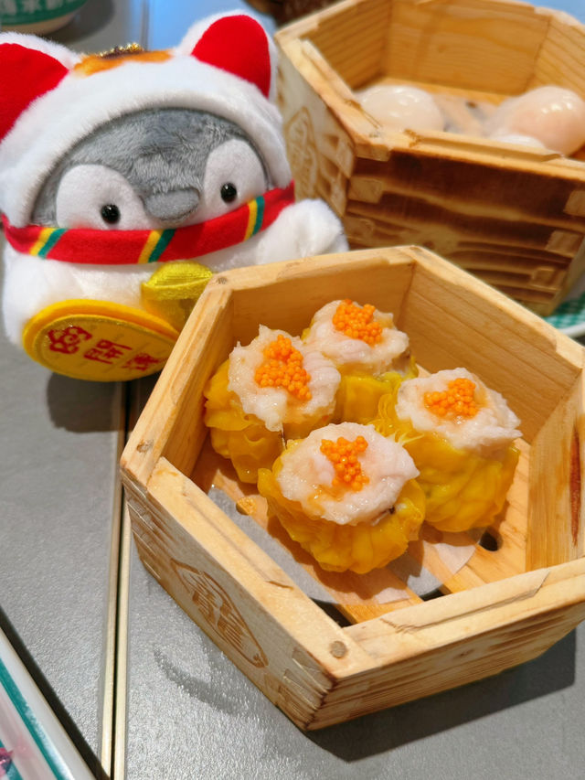 菠蘿包正🥰