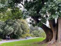 Romancing the Roses (and Everything Else) at Fitzroy Gardens