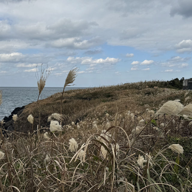 제주 동쪽 일몰 명소 추천 🏖️닭머르해안길