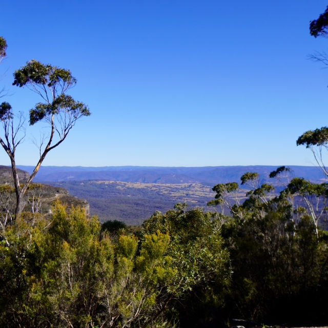 擁有世上最斜的纜車 - 藍山國家公園（Blue Mountains National Park）