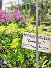 AIRORCHIDS SUPERMARKET