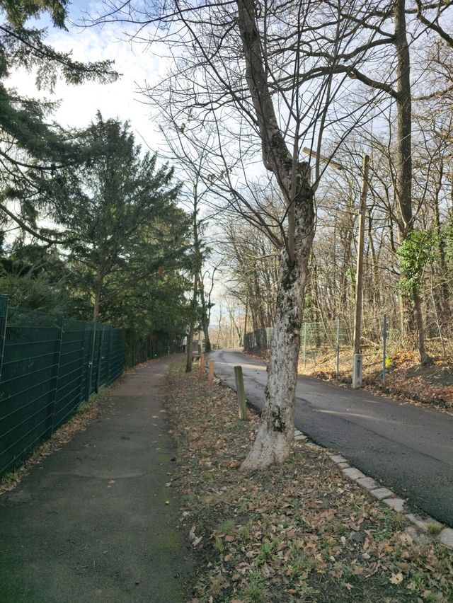 유럽여행 하이킹하기에 좋은 비엔나 Ottakringer Wald
