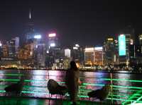 浪漫夜：東方之珠維港遊🚢✨