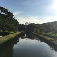 Singapore’s Wild Side: A Scenic Stroll Through Sungei Buloh