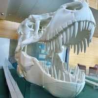 Explore the Wonders of Melbourne Museum 🇦🇺