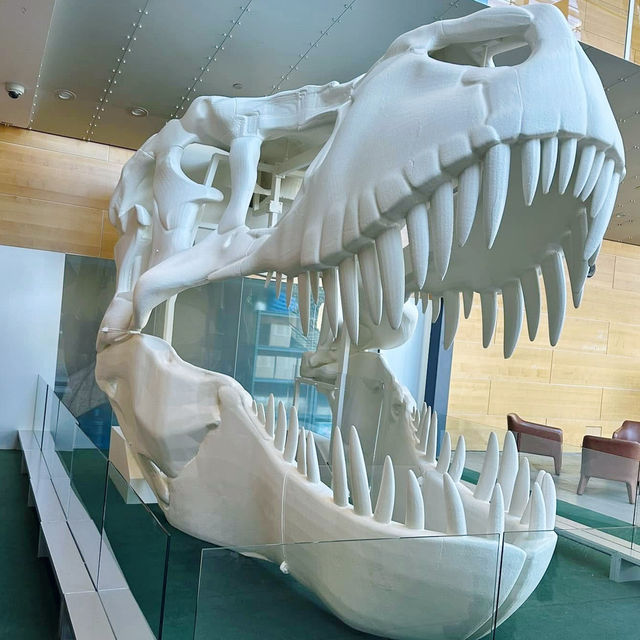 Explore the Wonders of Melbourne Museum 🇦🇺